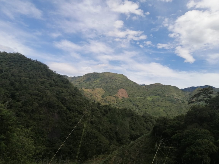 Montaña