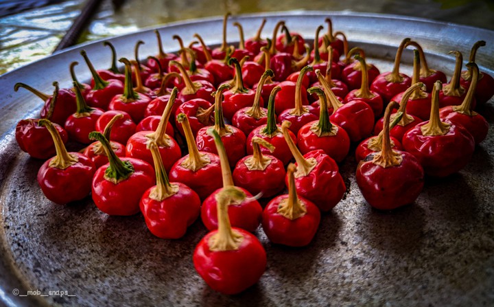 Red hot chilly