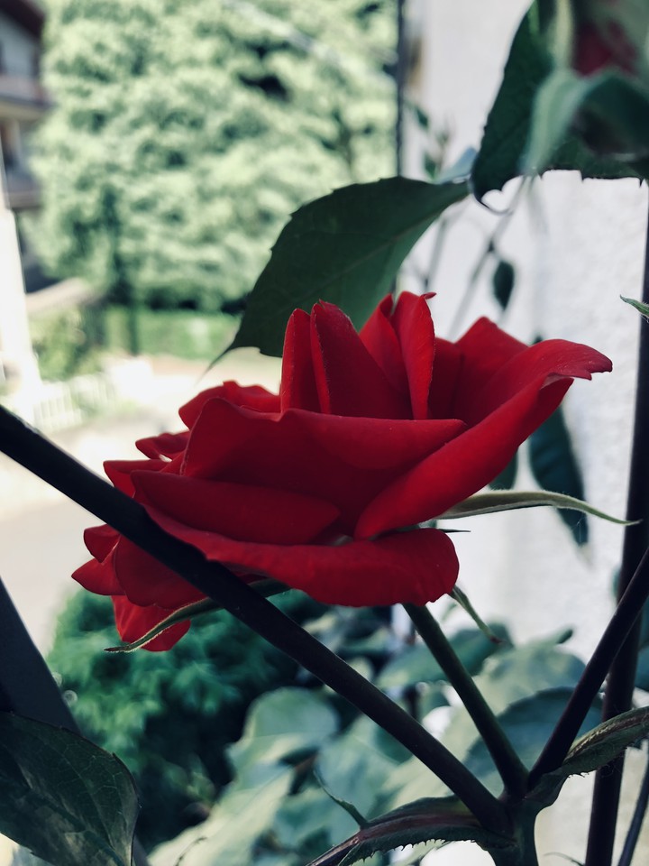 Test24