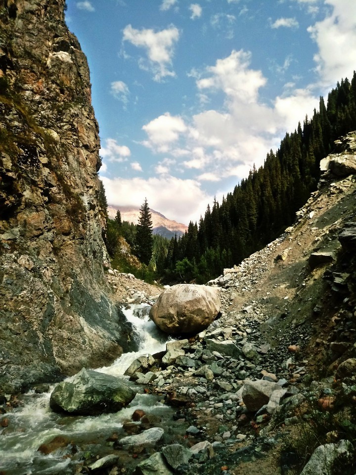 бурная