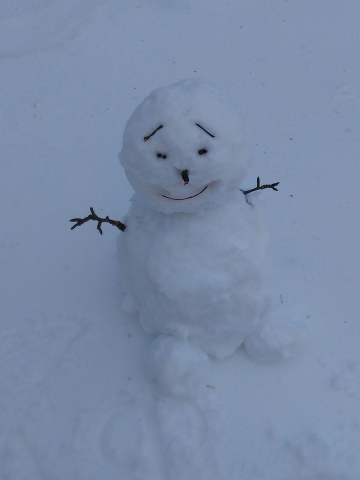 Snowman....