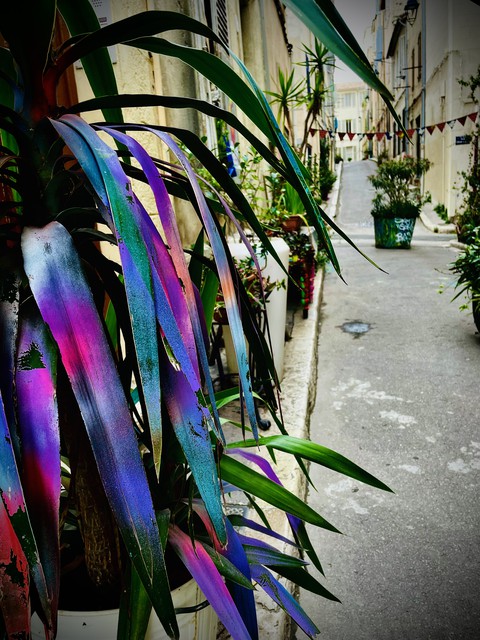 color street