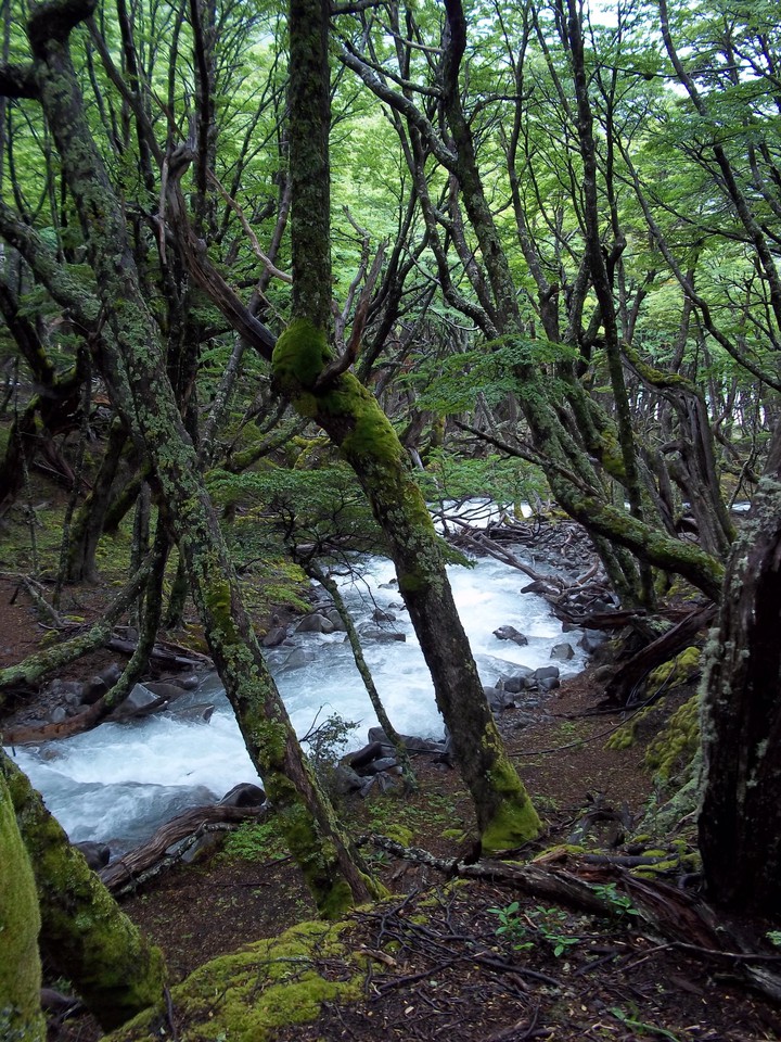 Nature