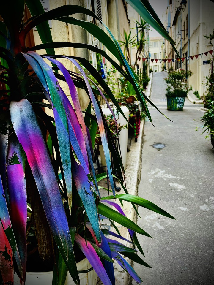 color street