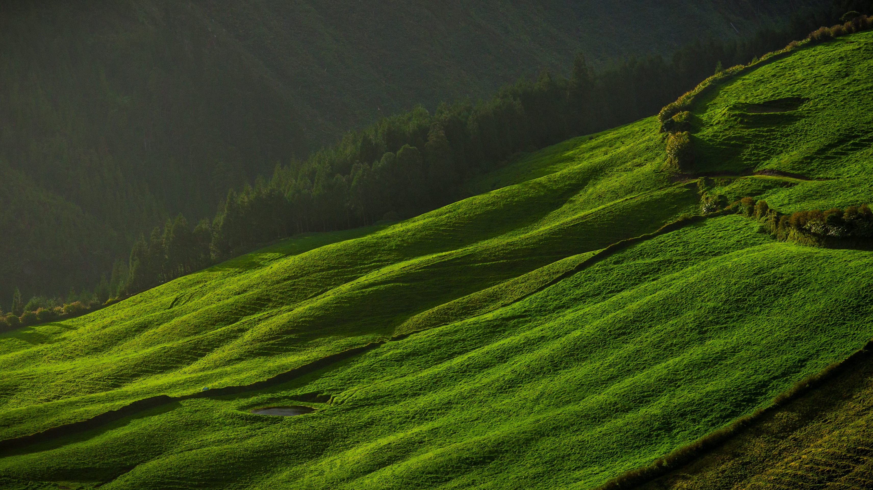 fondos de pantalla hill, highland