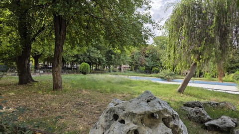 Tree, Natural_environment, Grass
