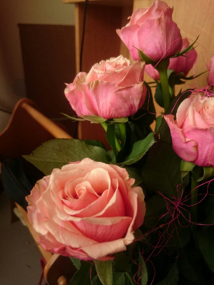 rose