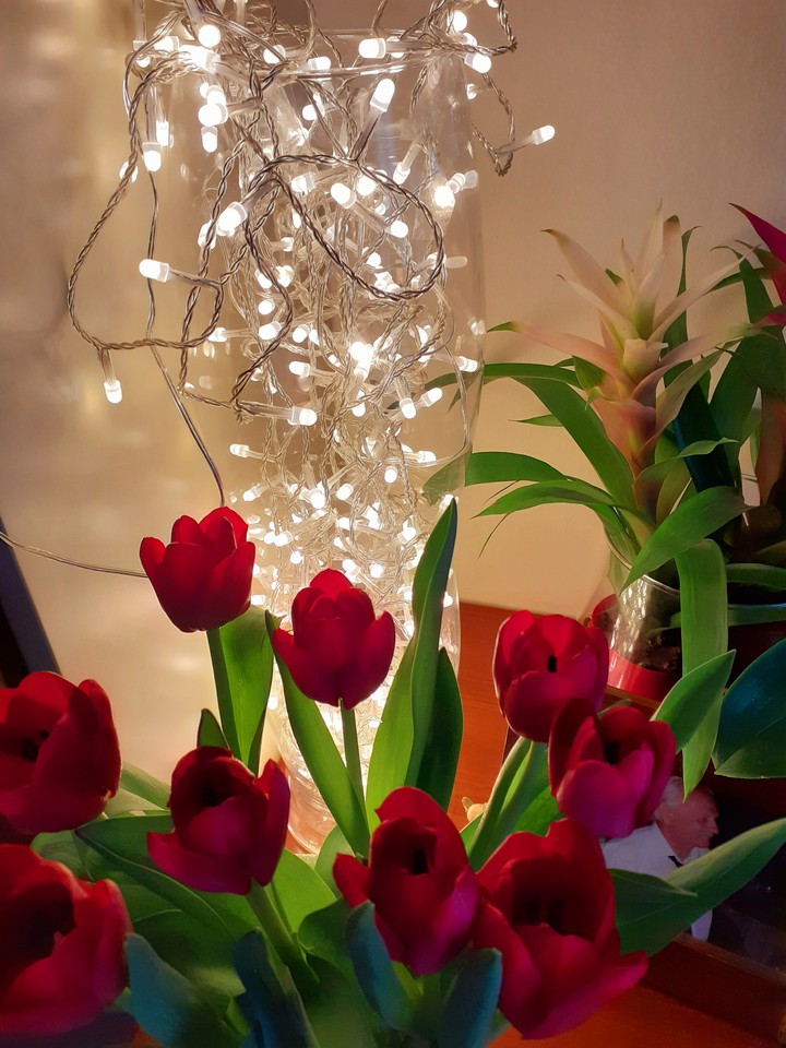 fiori rossi