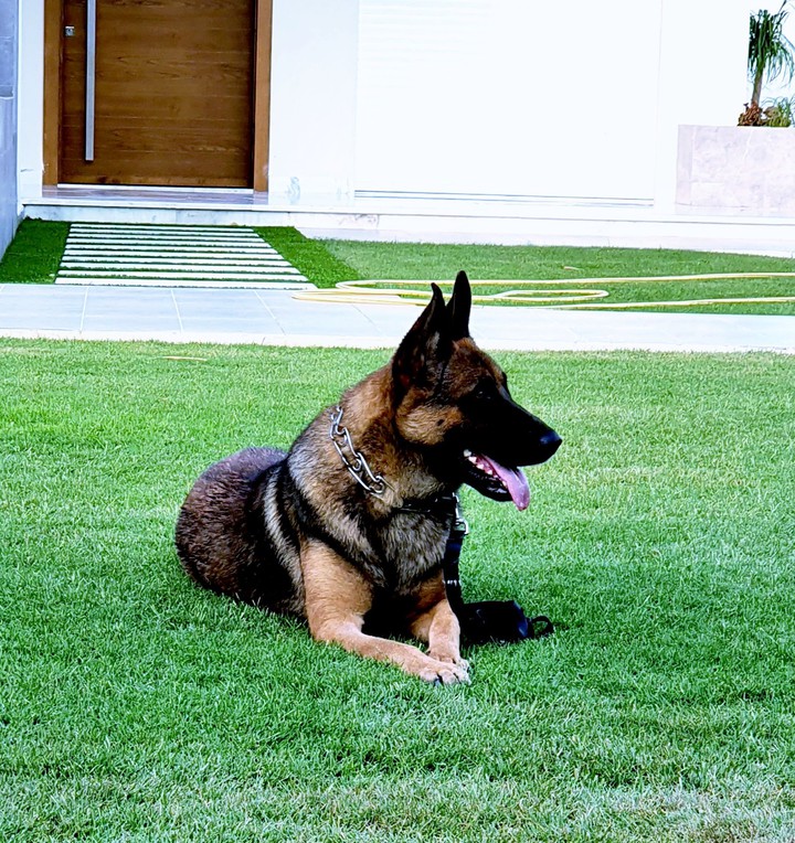 Ayla