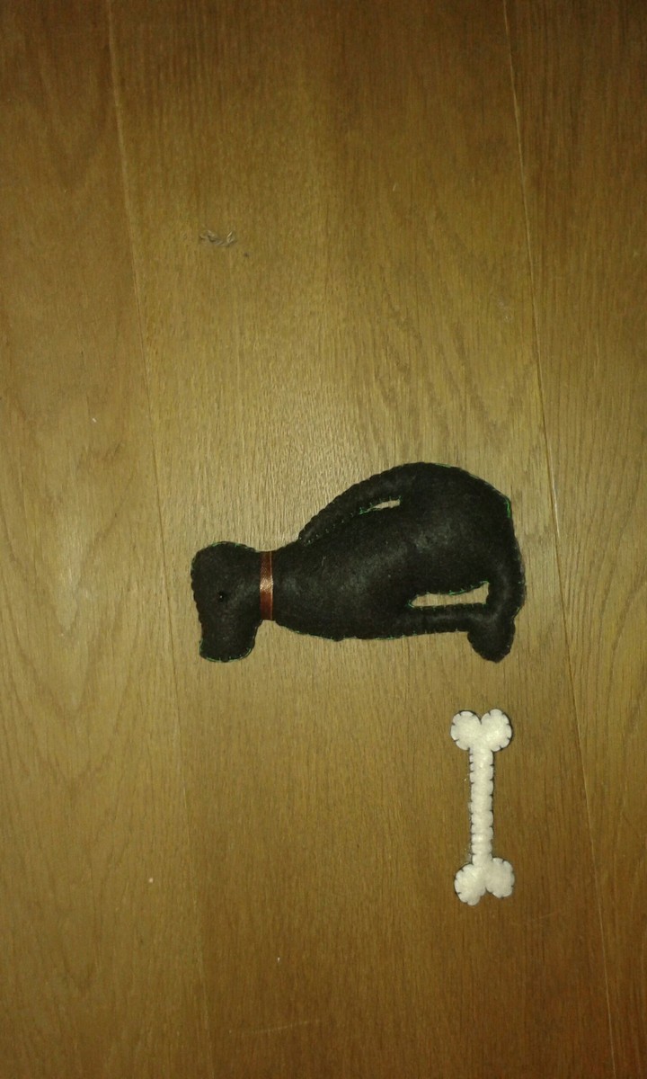 Dog & bone