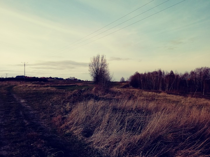 Polish CountrySide <3