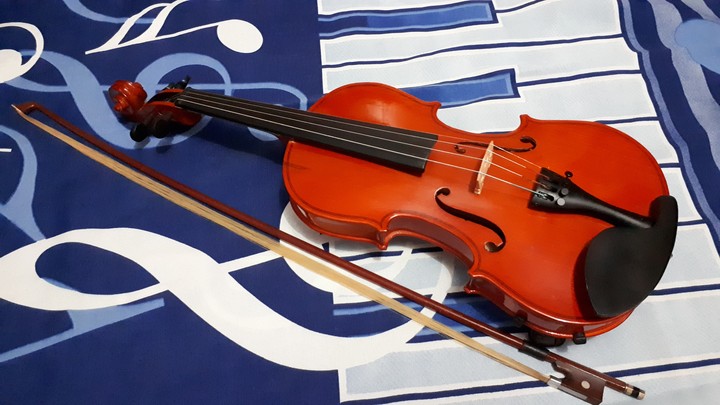 violino