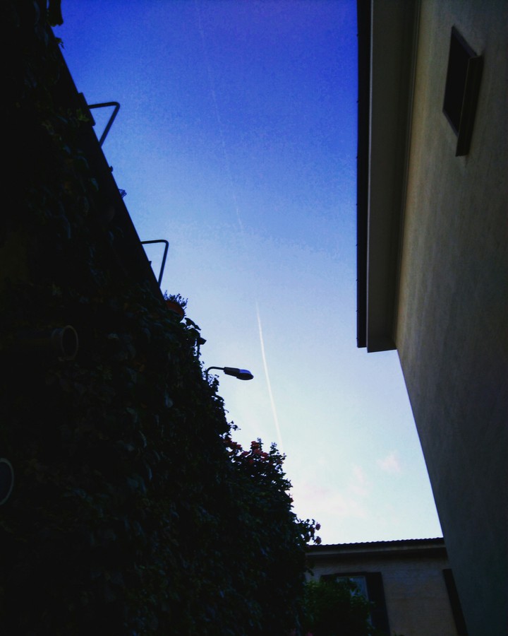 cielo