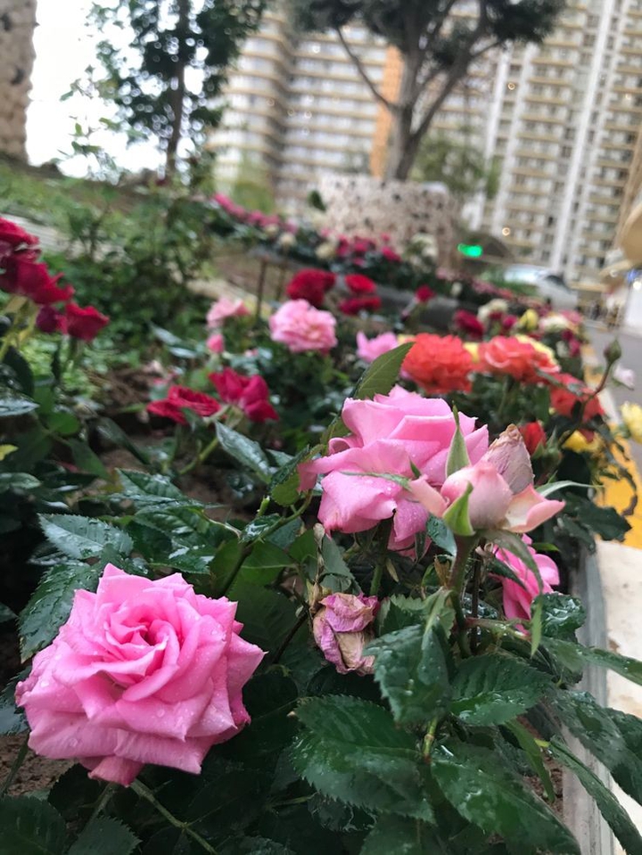 ⚘