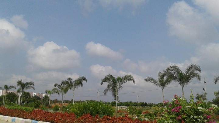 view