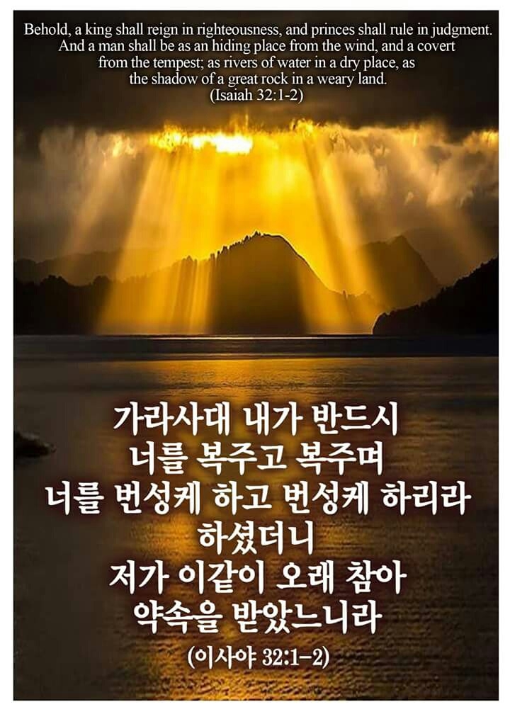 조으다