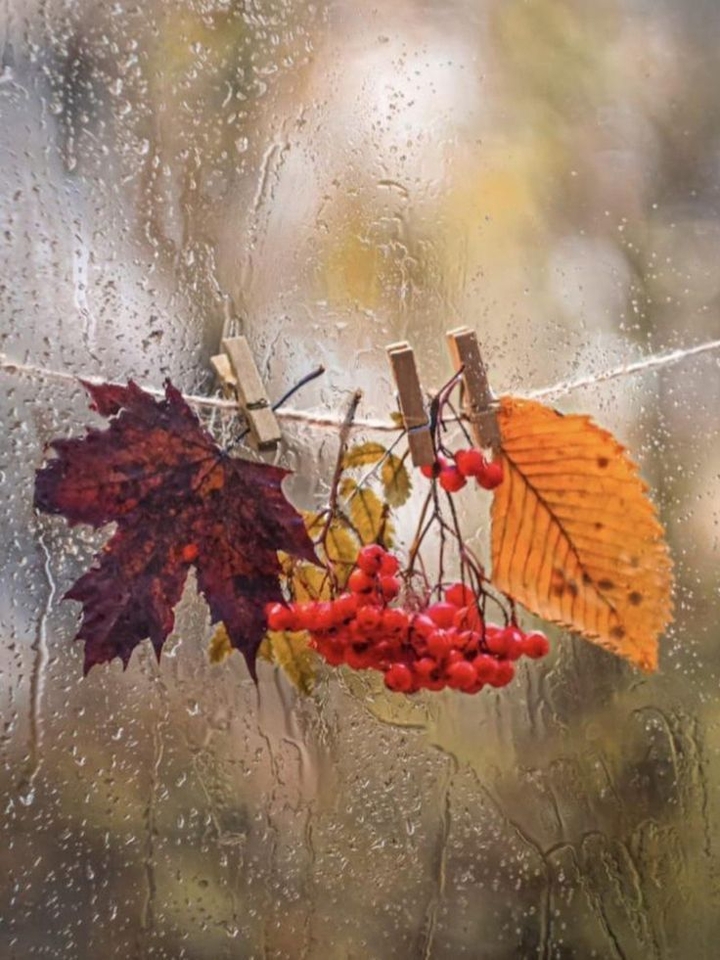 fondos de pantalla rain, Autumn