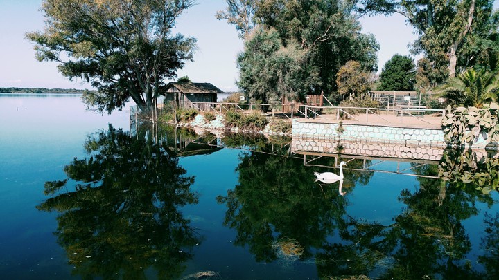 Lago di Fogliano