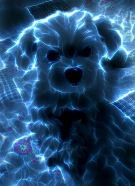matese light