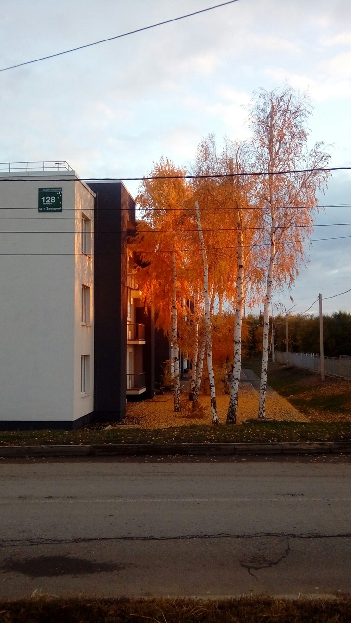 Autumn