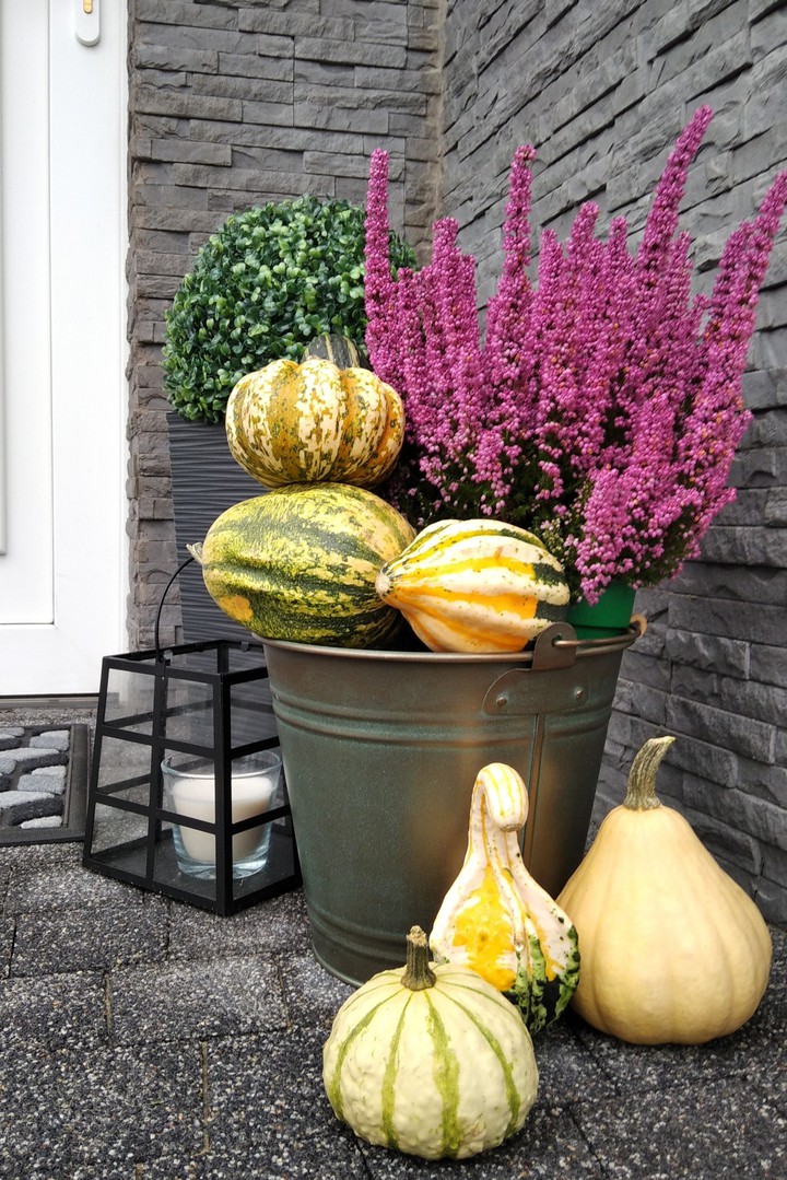 Autumn
