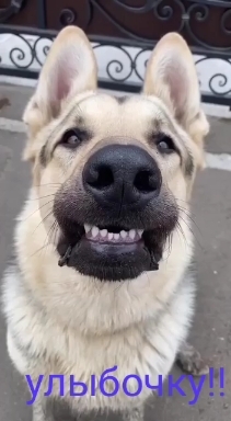 Hello my friends.