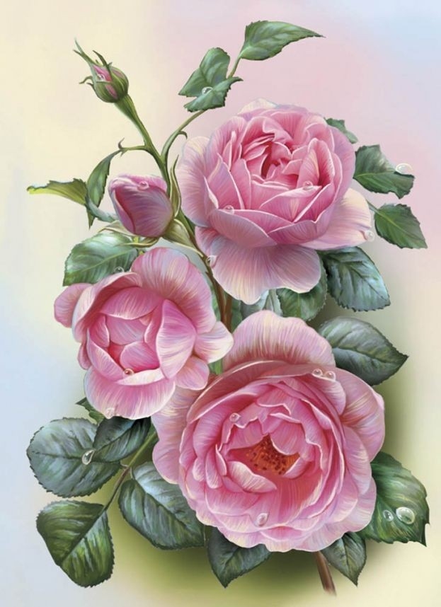 warda