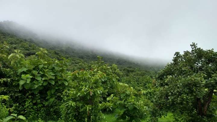 Nashik Maharashtra