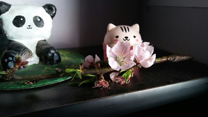 Waiting for spring