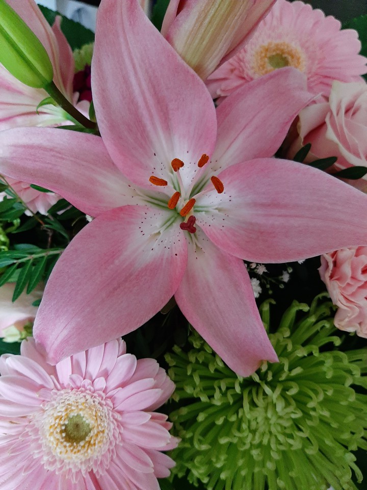Lily & gerberas