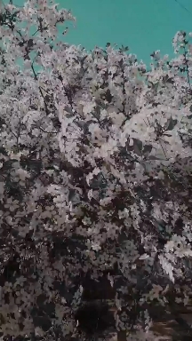 Весна