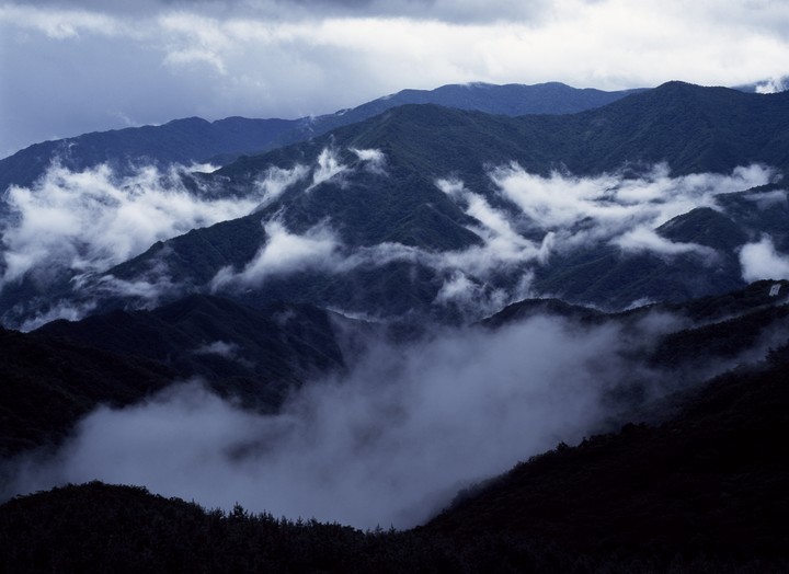 동양이미지