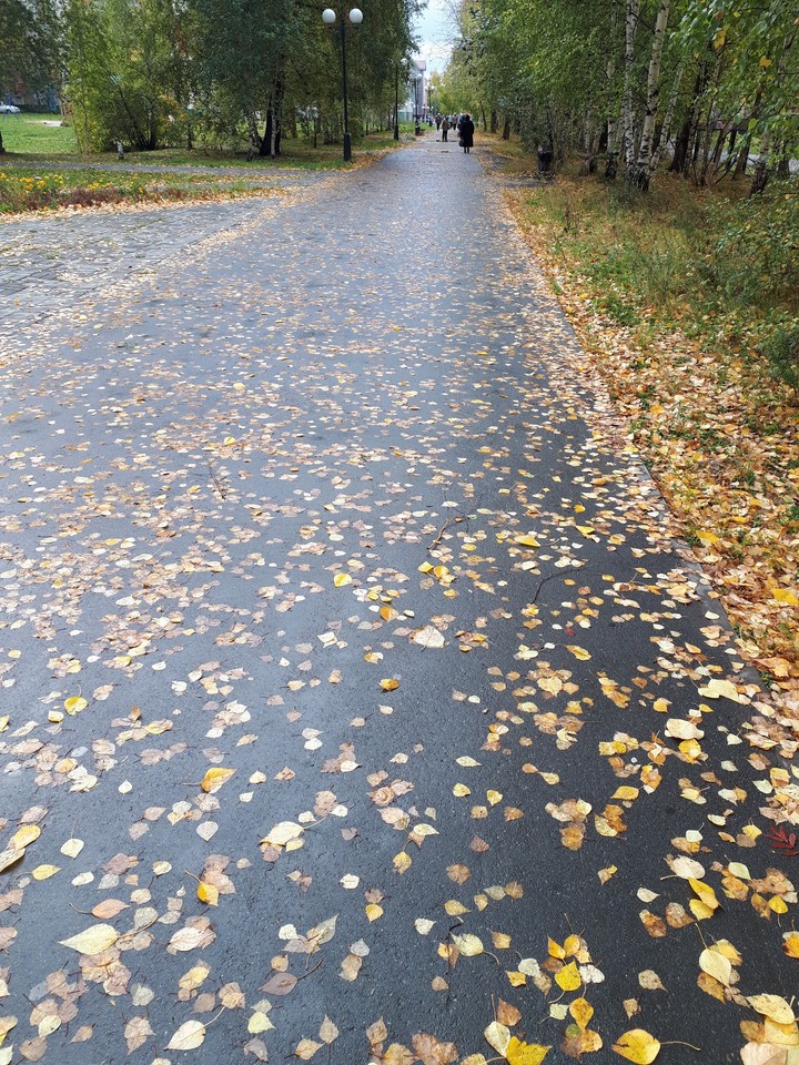 Осень
