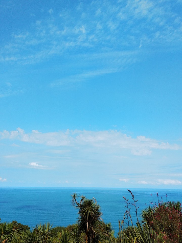 Blue picture