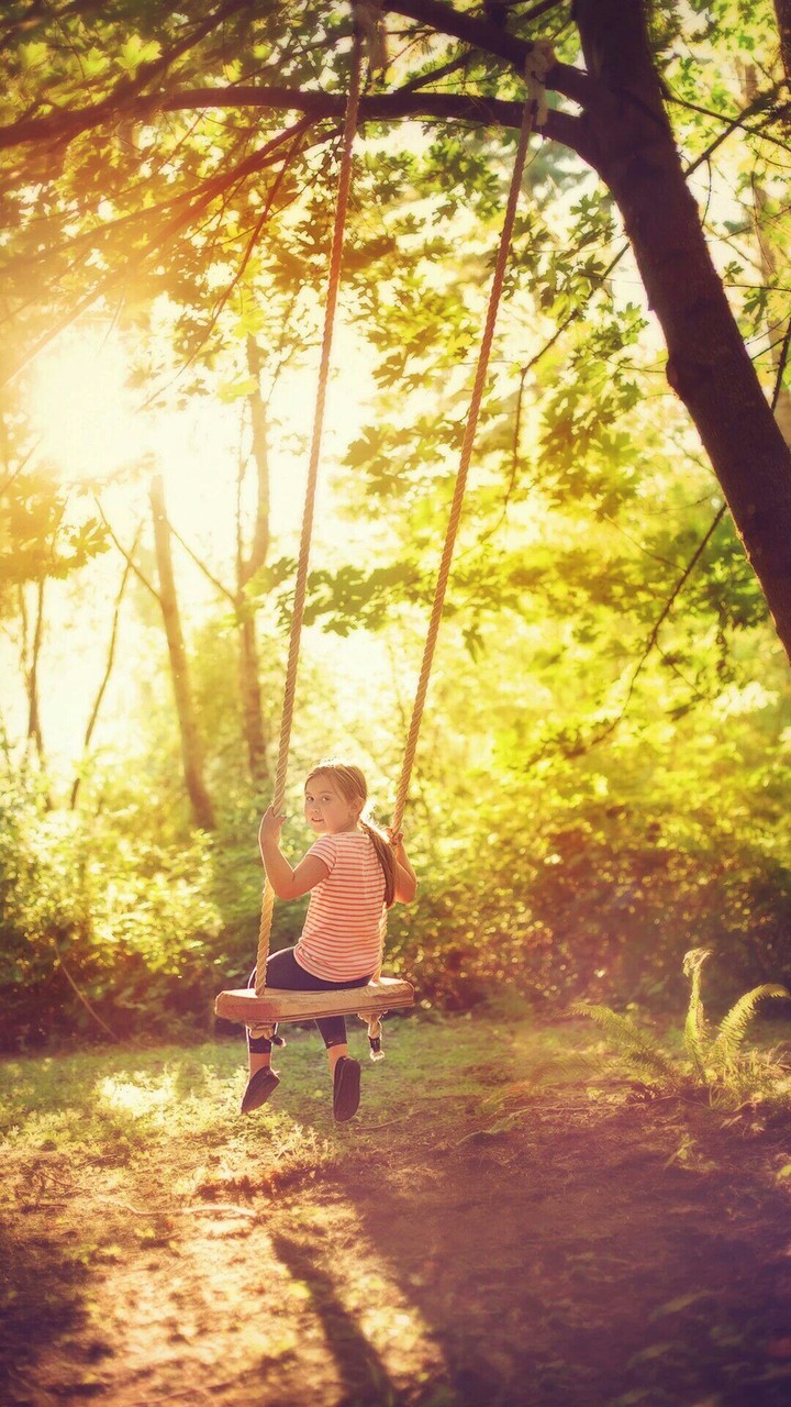 Explore Forest