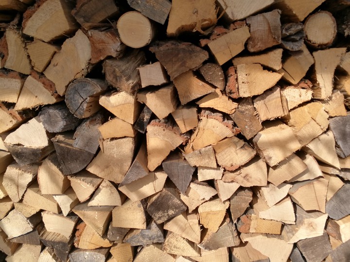 Holz