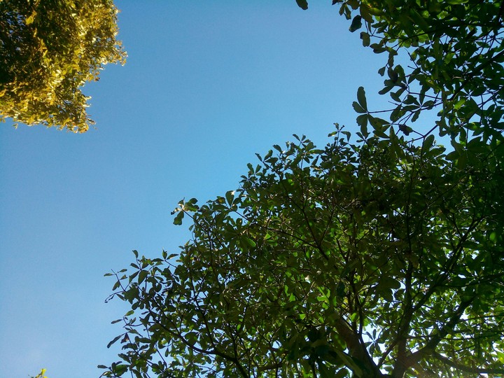 LOOK UP
