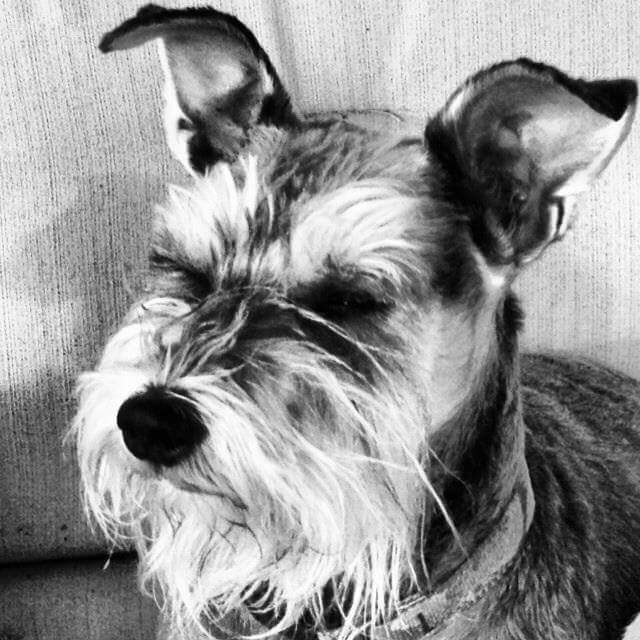 Maddie