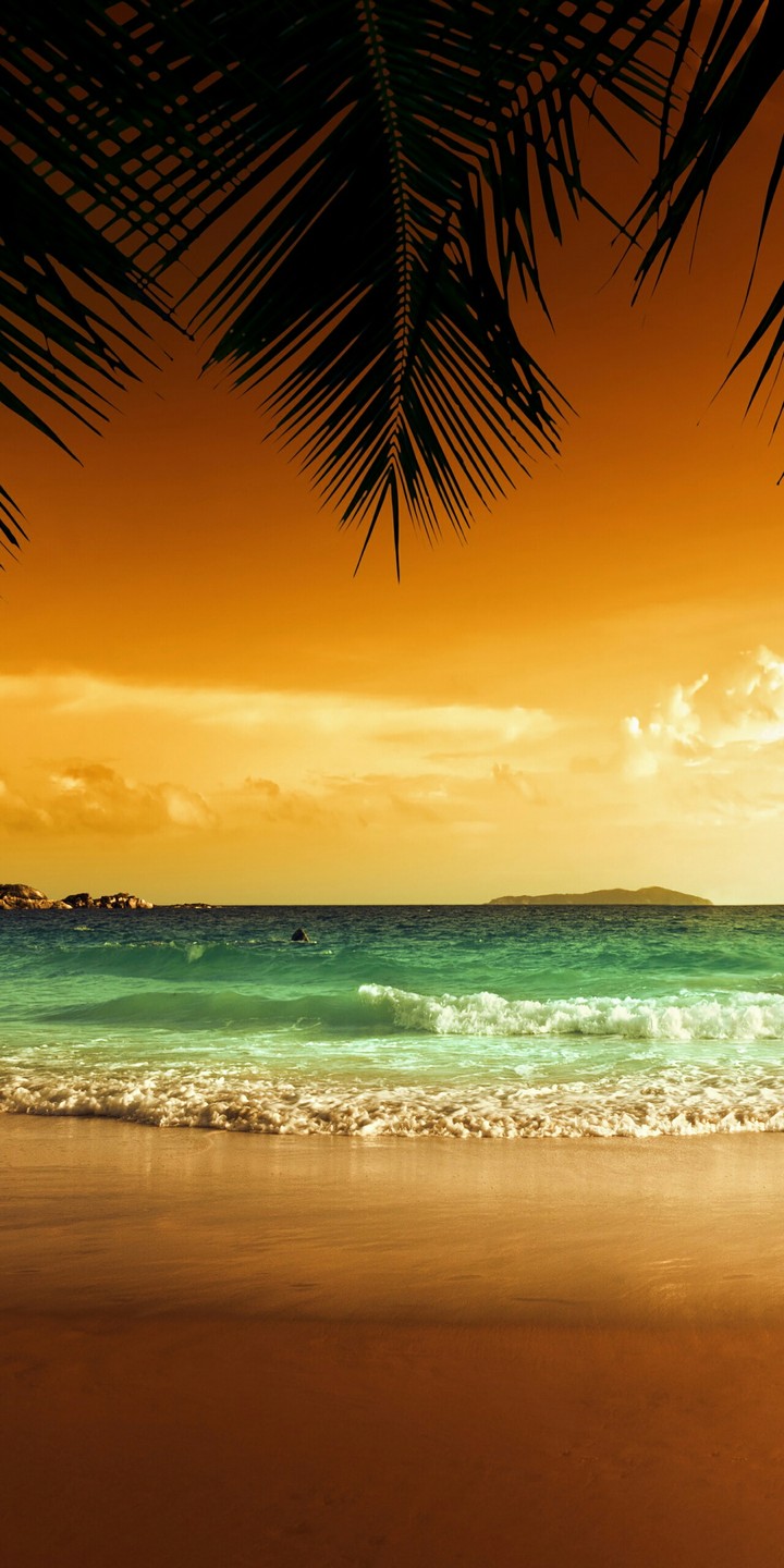 tropical beach