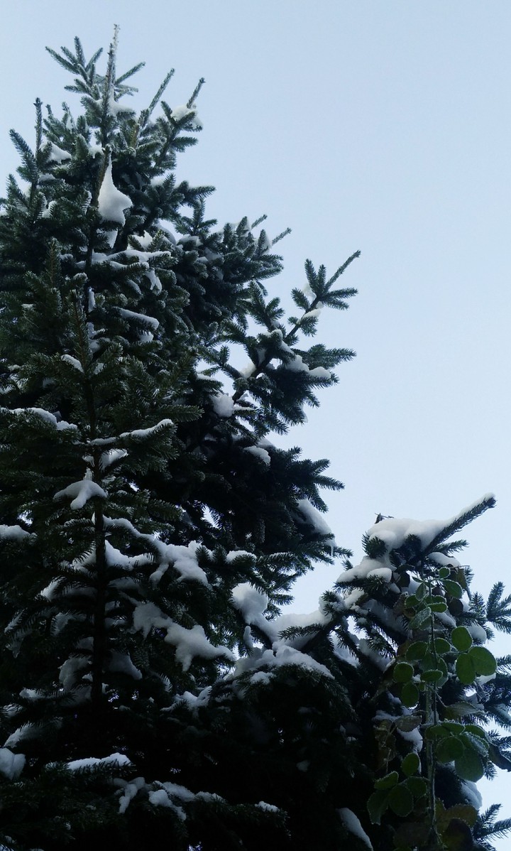 Winter now