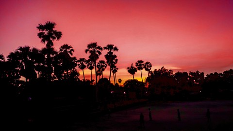 dawn