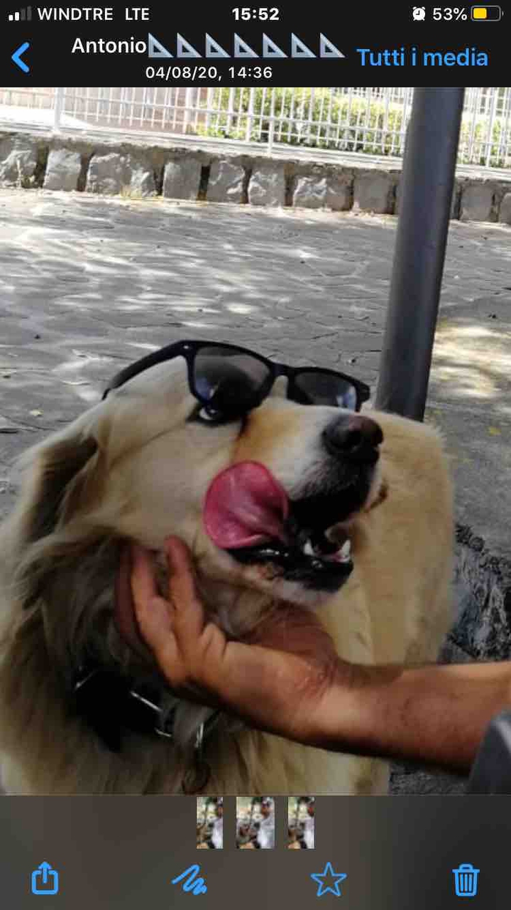 super Buddie