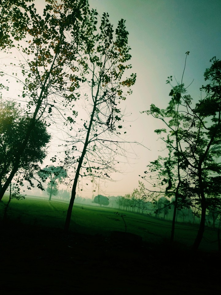 Nature