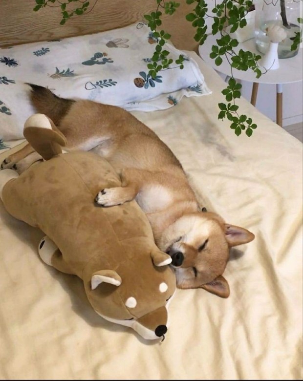 ♥