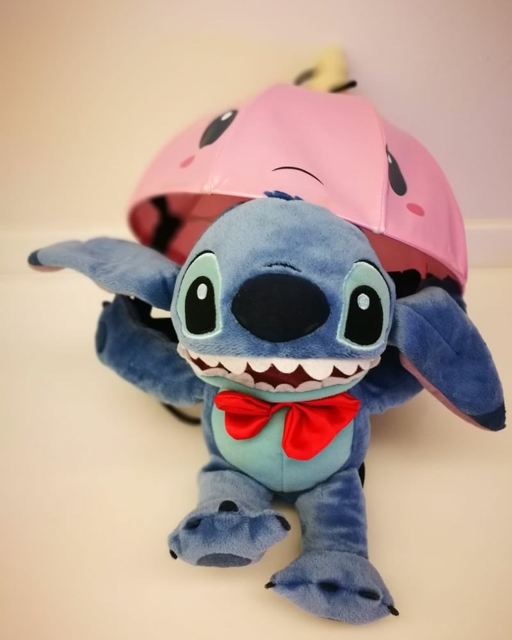 stich