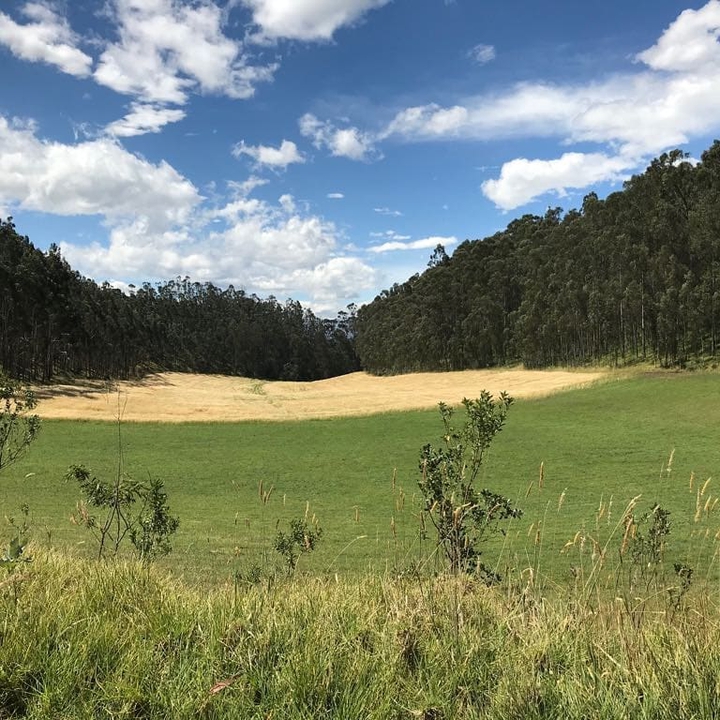 naturaleza