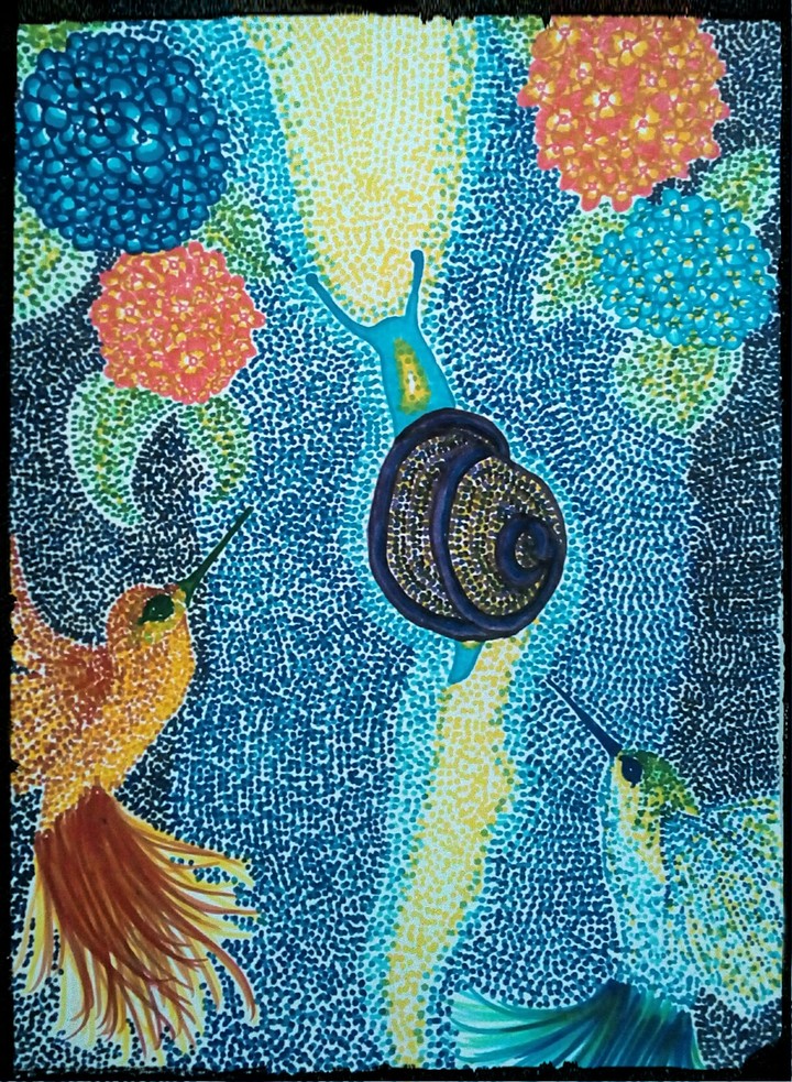 the hummingbirds and snail