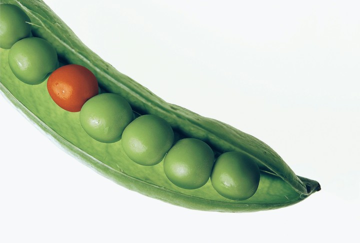 pea