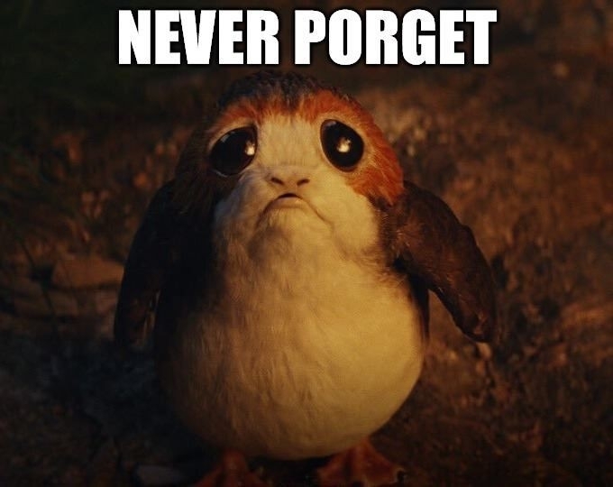 I LOVE PORGS !  