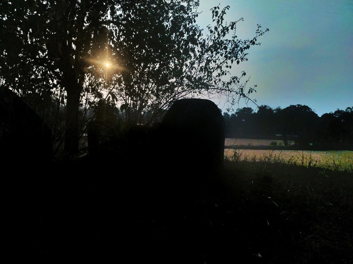 evening shade